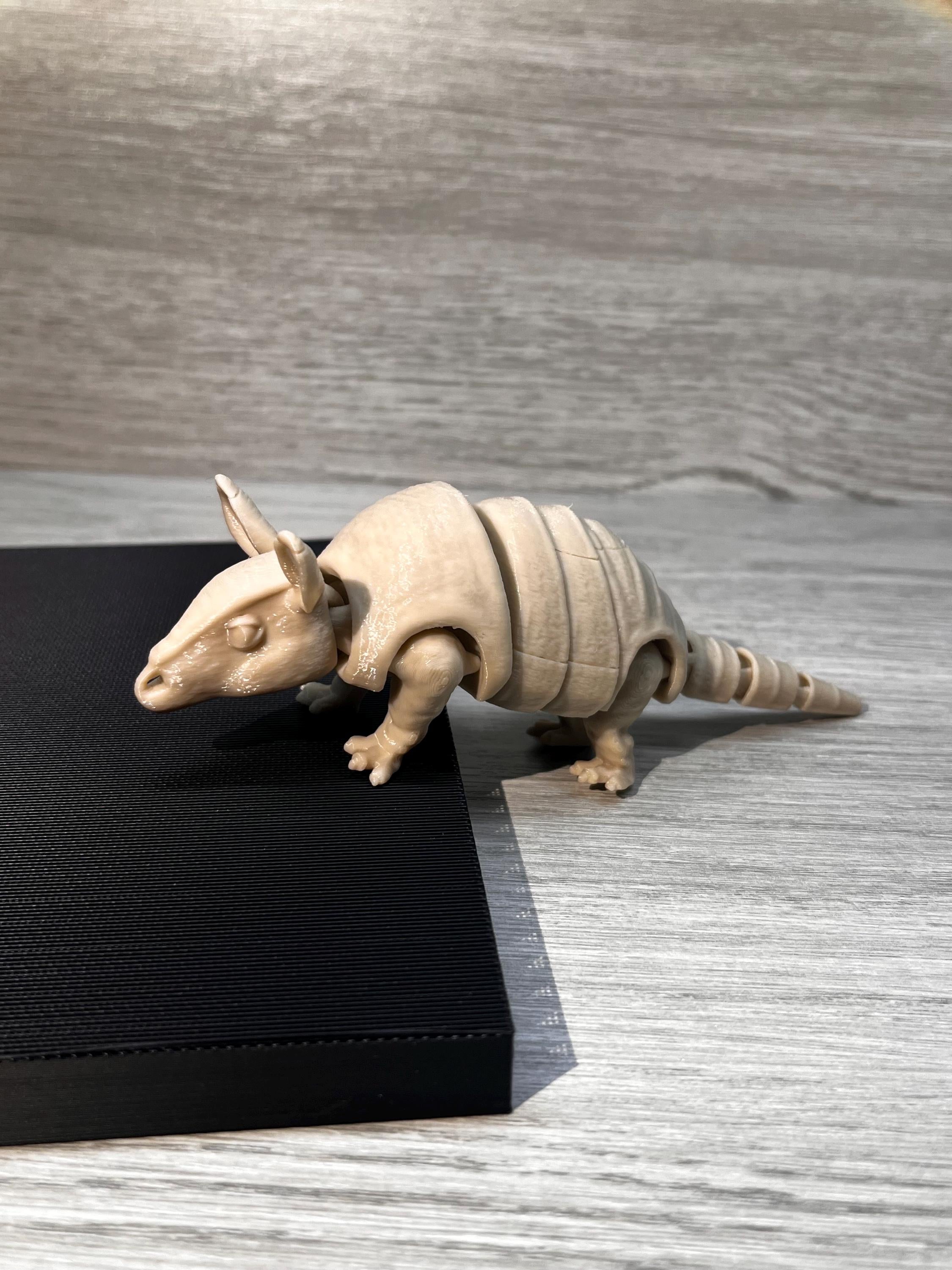 3D Printed Flexible Armadillo
