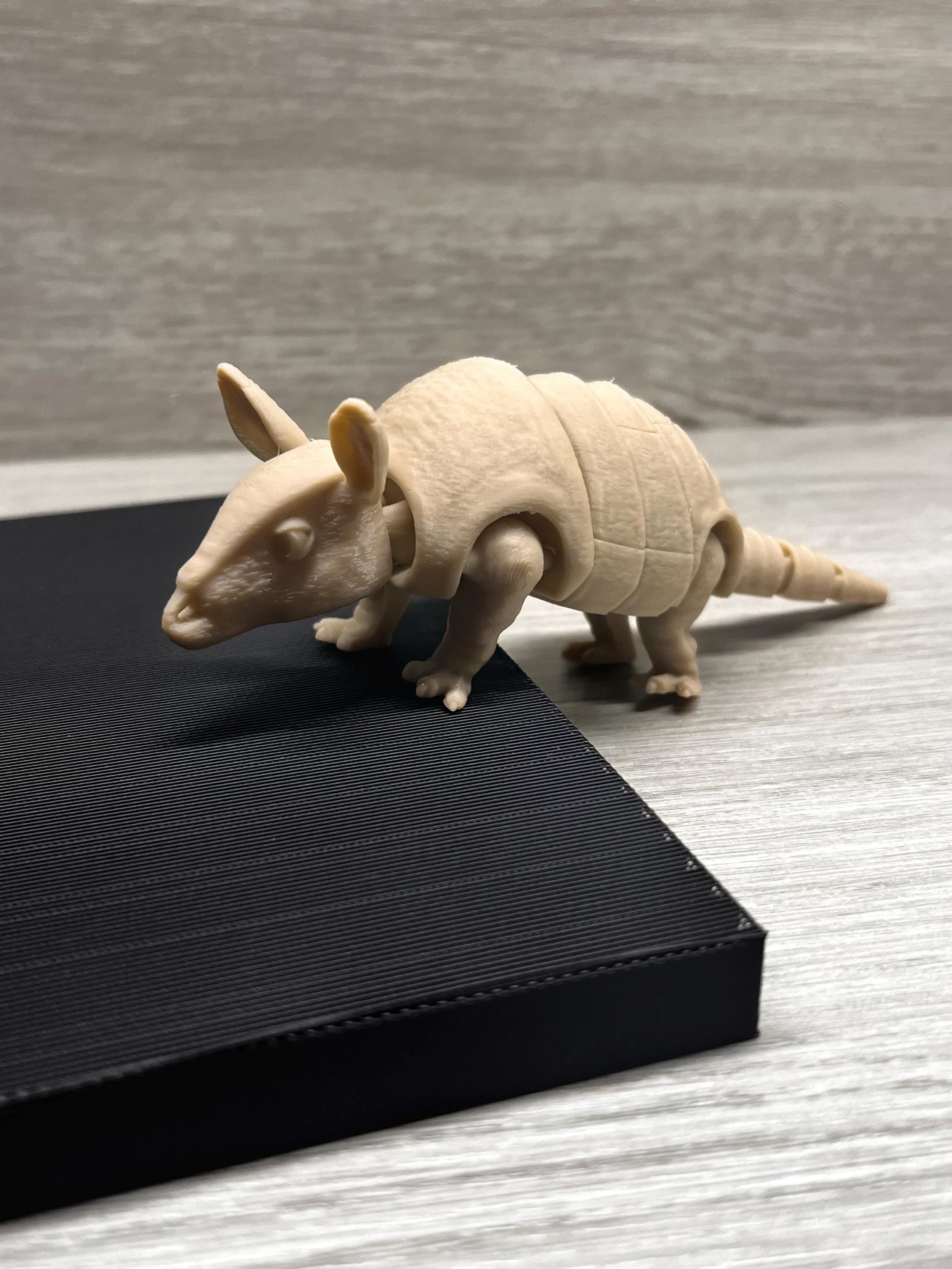 3D Printed Flexible Armadillo