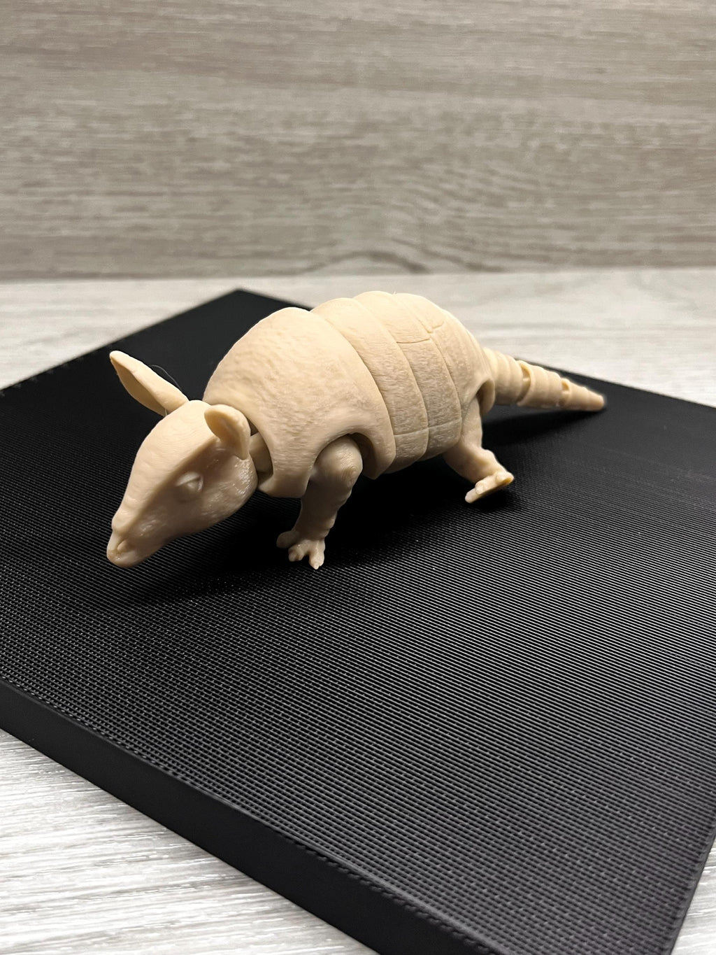 3D Printed Flexible Armadillo