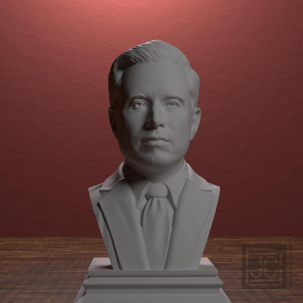 Elon Musk 3D Printed Collectible Bust