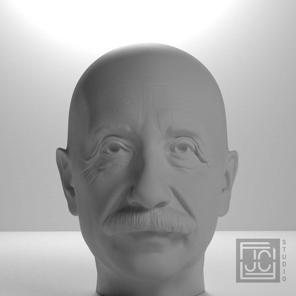 Albert Einstein 3D Printed Collectible Bust