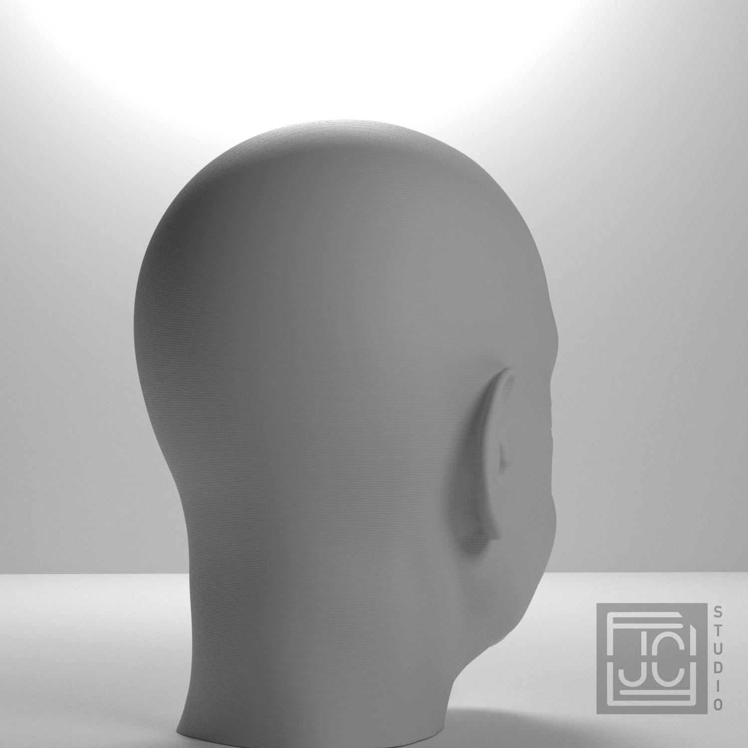 Albert Einstein 3D Printed Collectible Bust