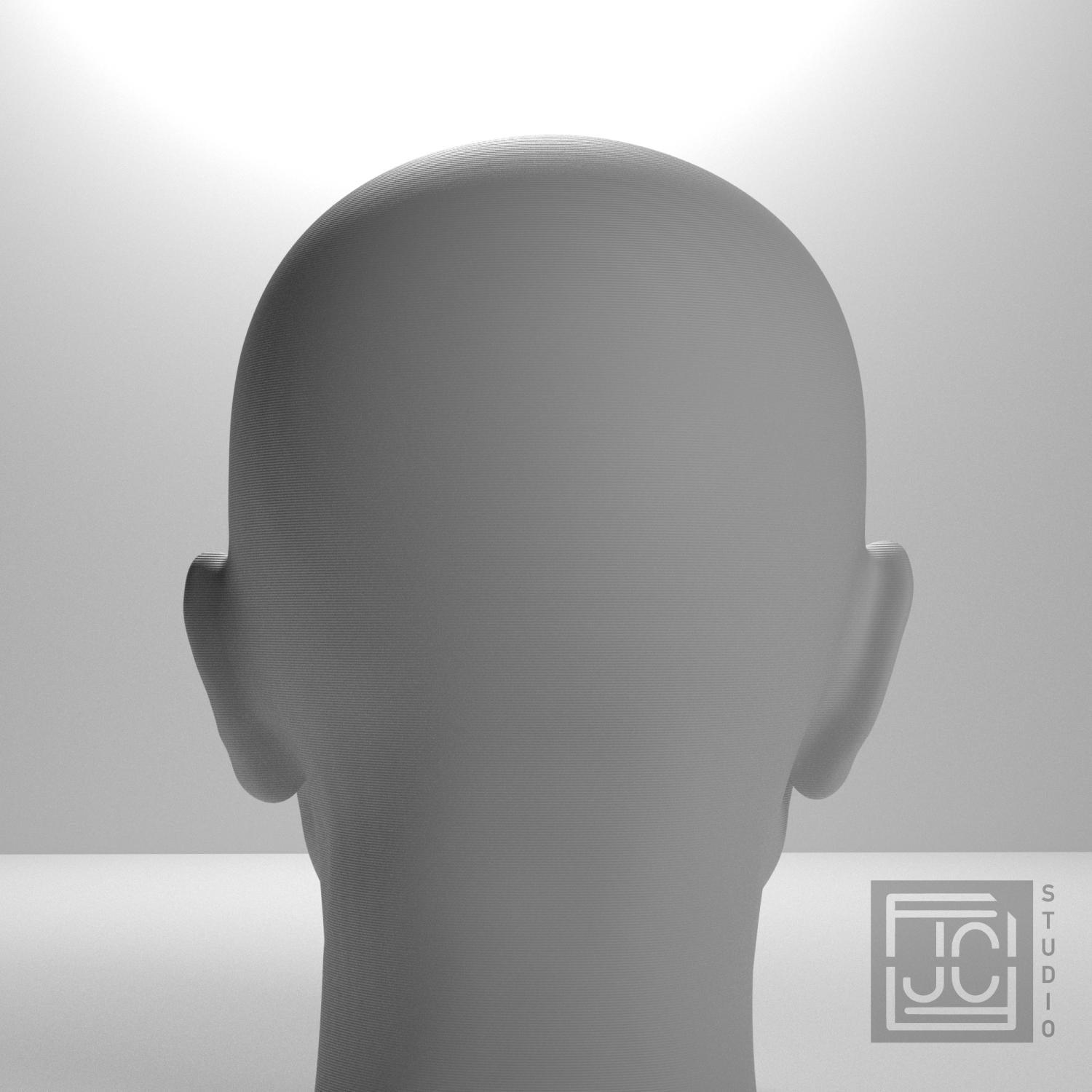 Albert Einstein 3D Printed Collectible Bust