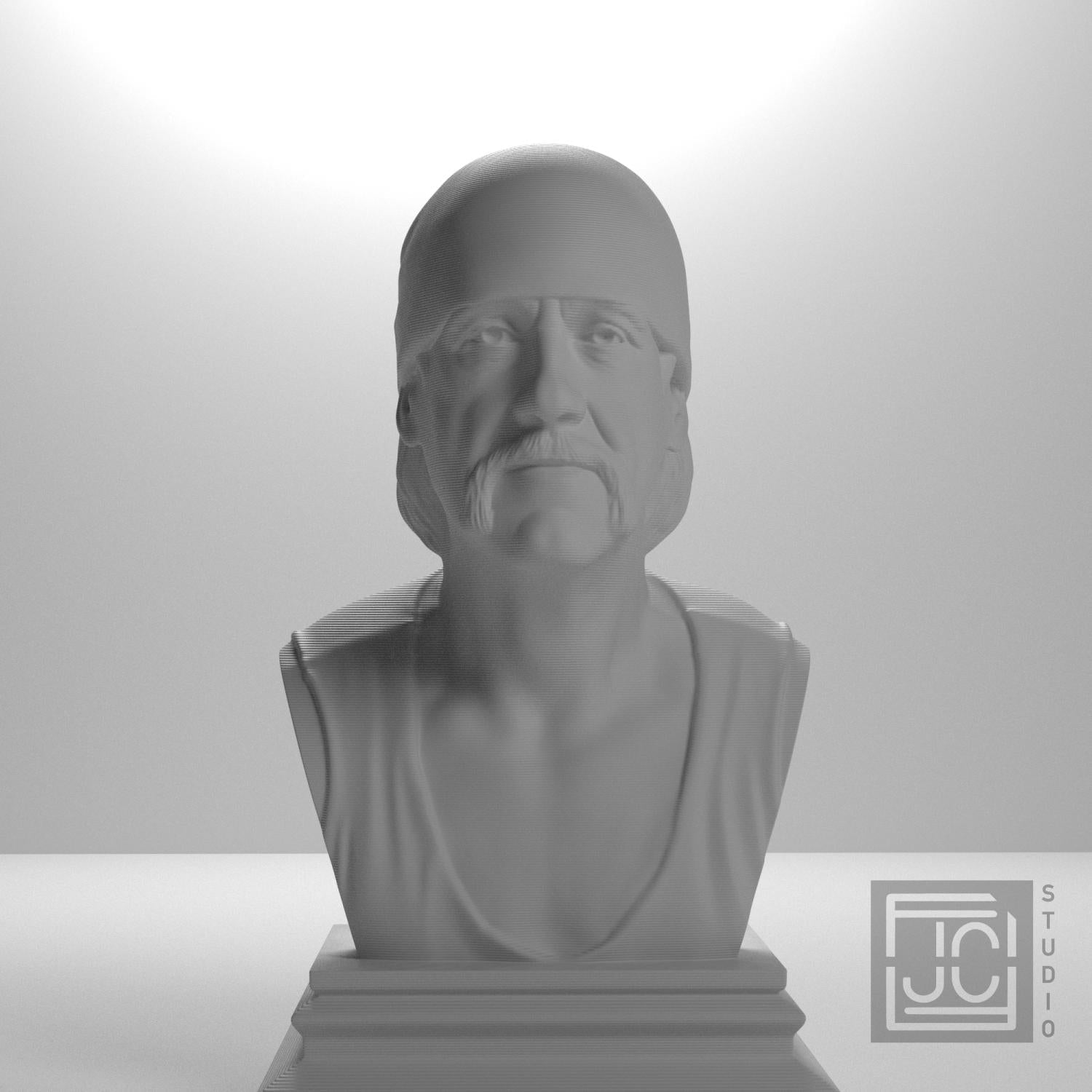 Hulk Hogan 3D Printed Collectible Bust