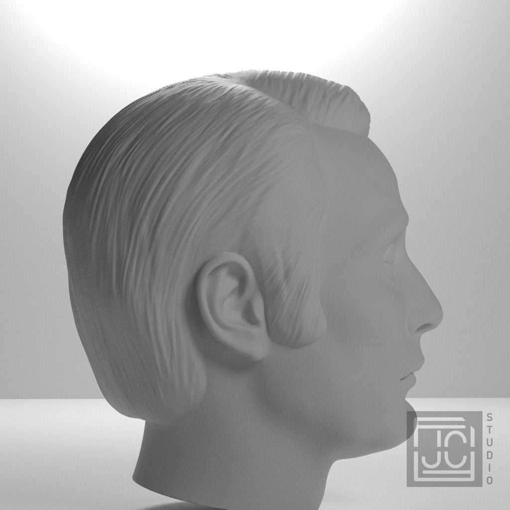 Mads Mikkelsen 3D Printed Collectible Bust