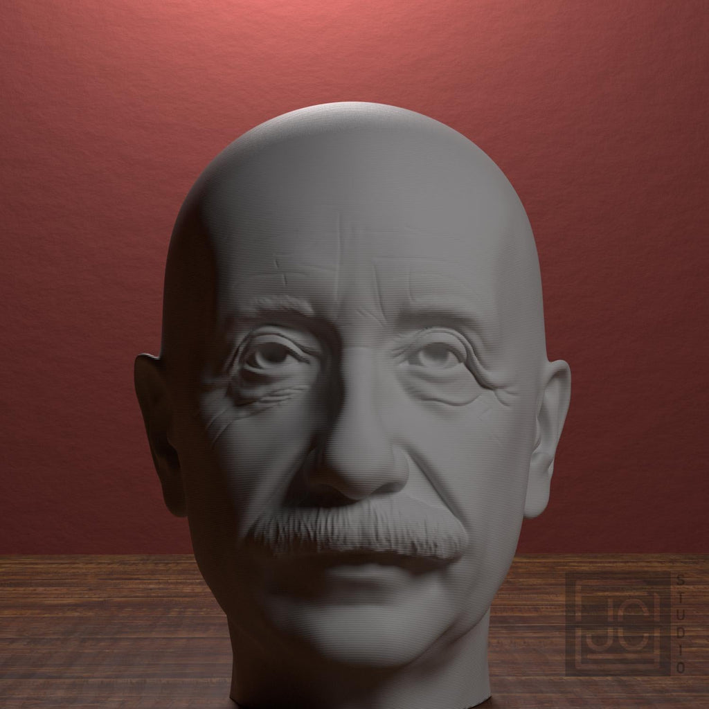 Albert Einstein 3D Printed Collectible Bust