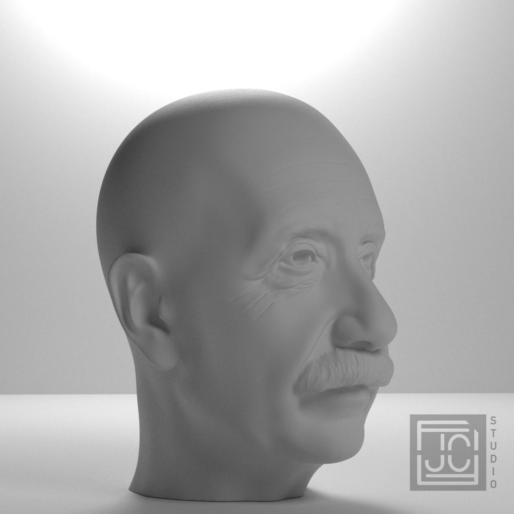 Albert Einstein 3D Printed Collectible Bust