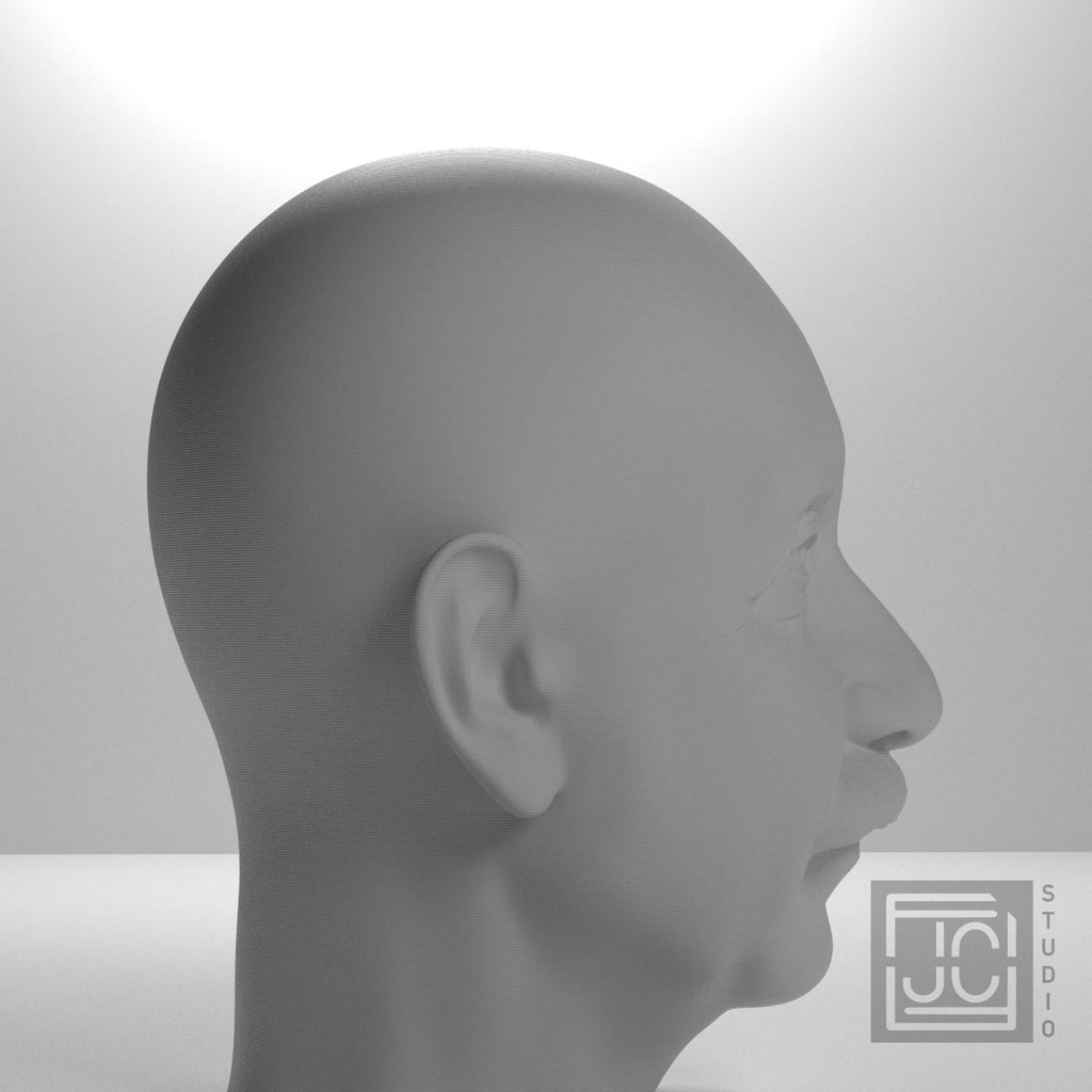 Albert Einstein 3D Printed Collectible Bust