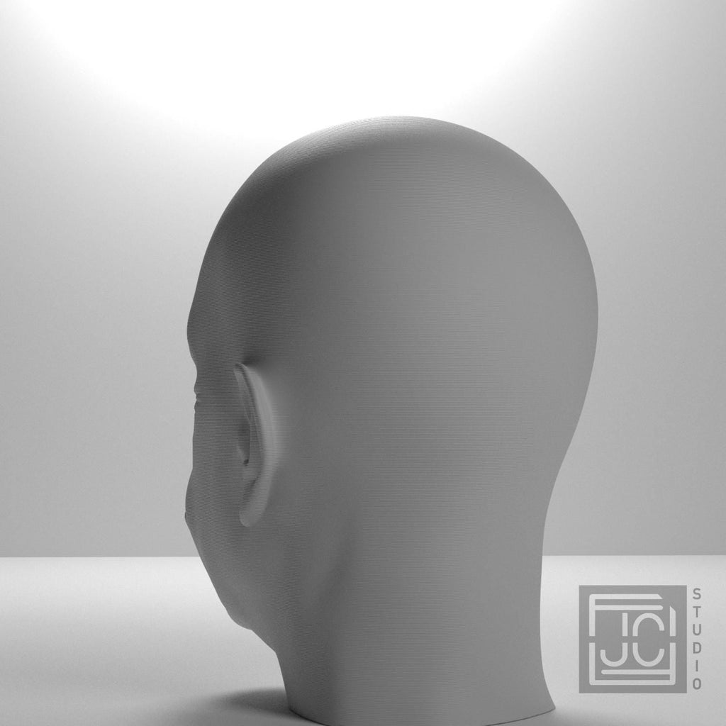Albert Einstein 3D Printed Collectible Bust