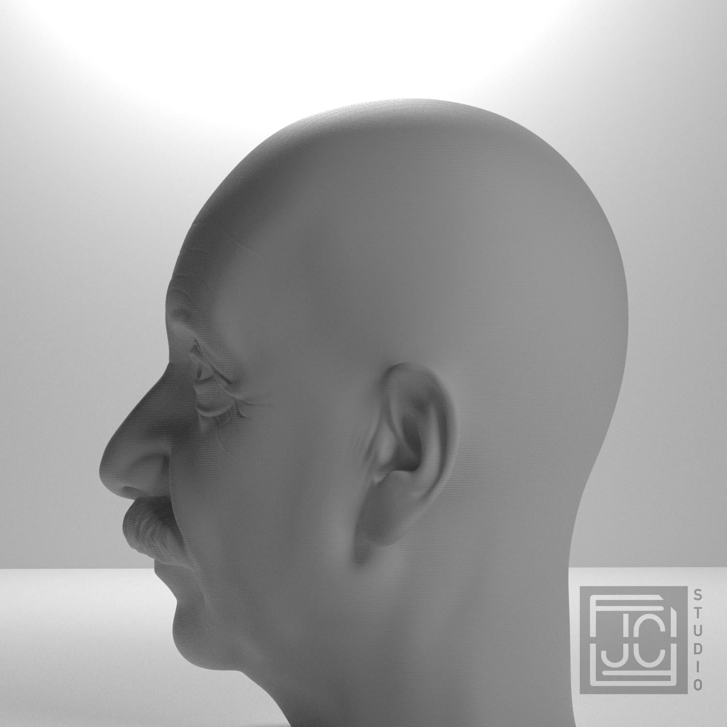Albert Einstein 3D Printed Collectible Bust