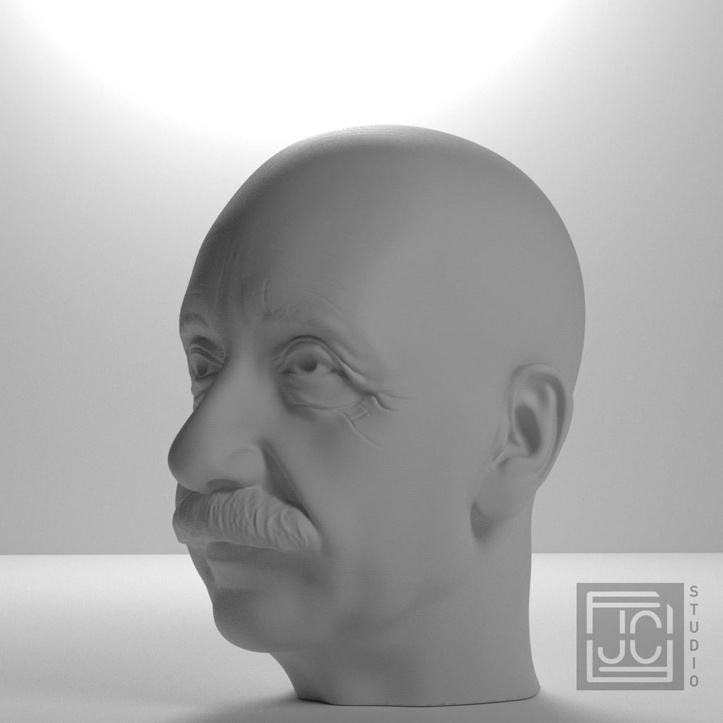 Albert Einstein 3D Printed Collectible Bust