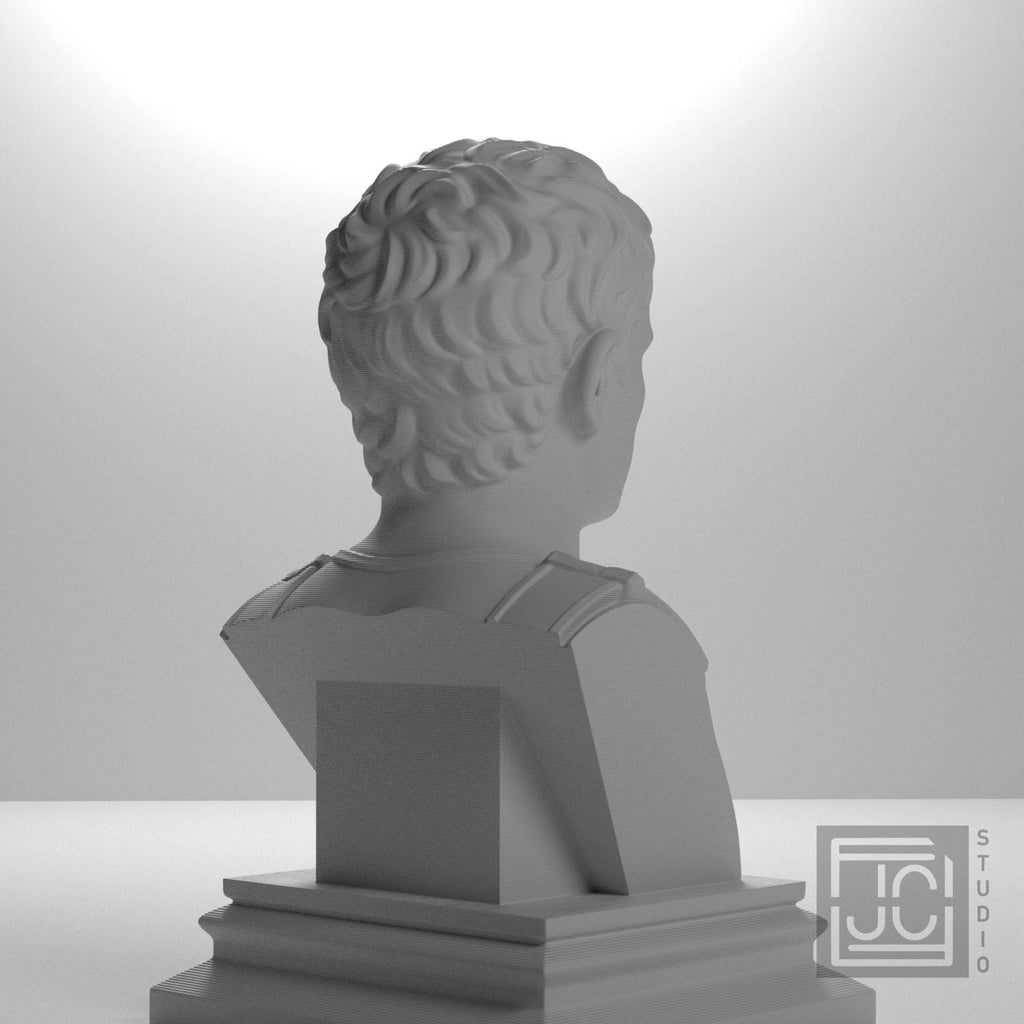 Augustus 3D Printed Collectible Bust