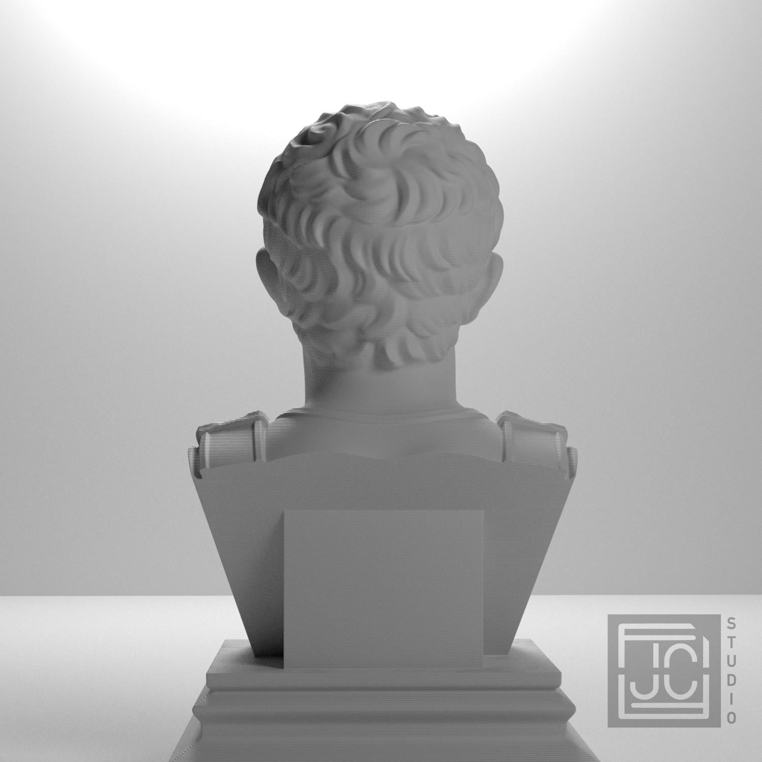 Augustus 3D Printed Collectible Bust