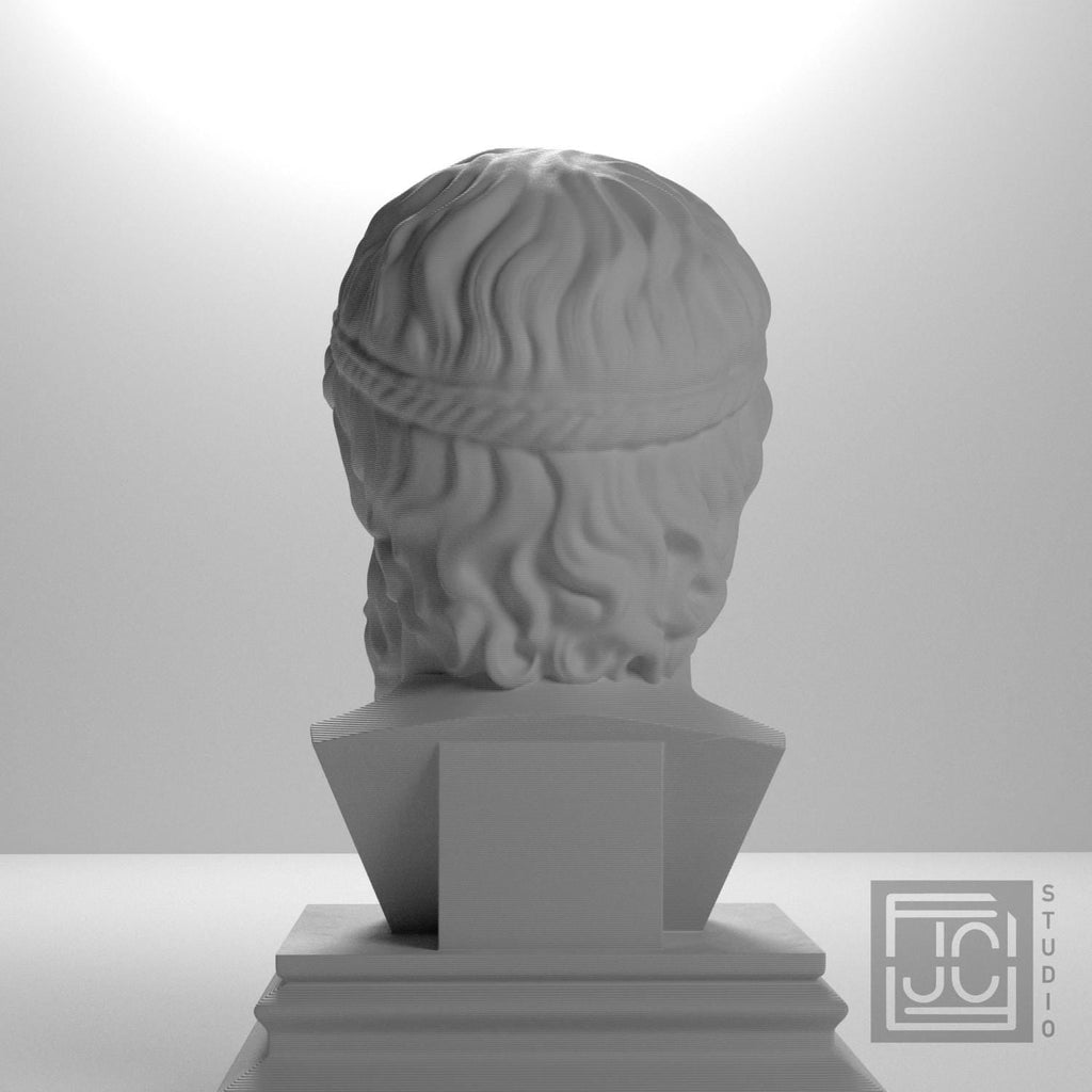 Poseidon 3D Printed Collectible Bust