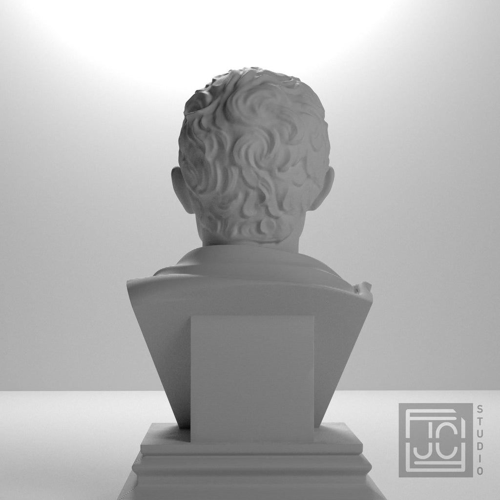 Julius Caesar Portrait No. 0136 3D Printed Collectible Bust