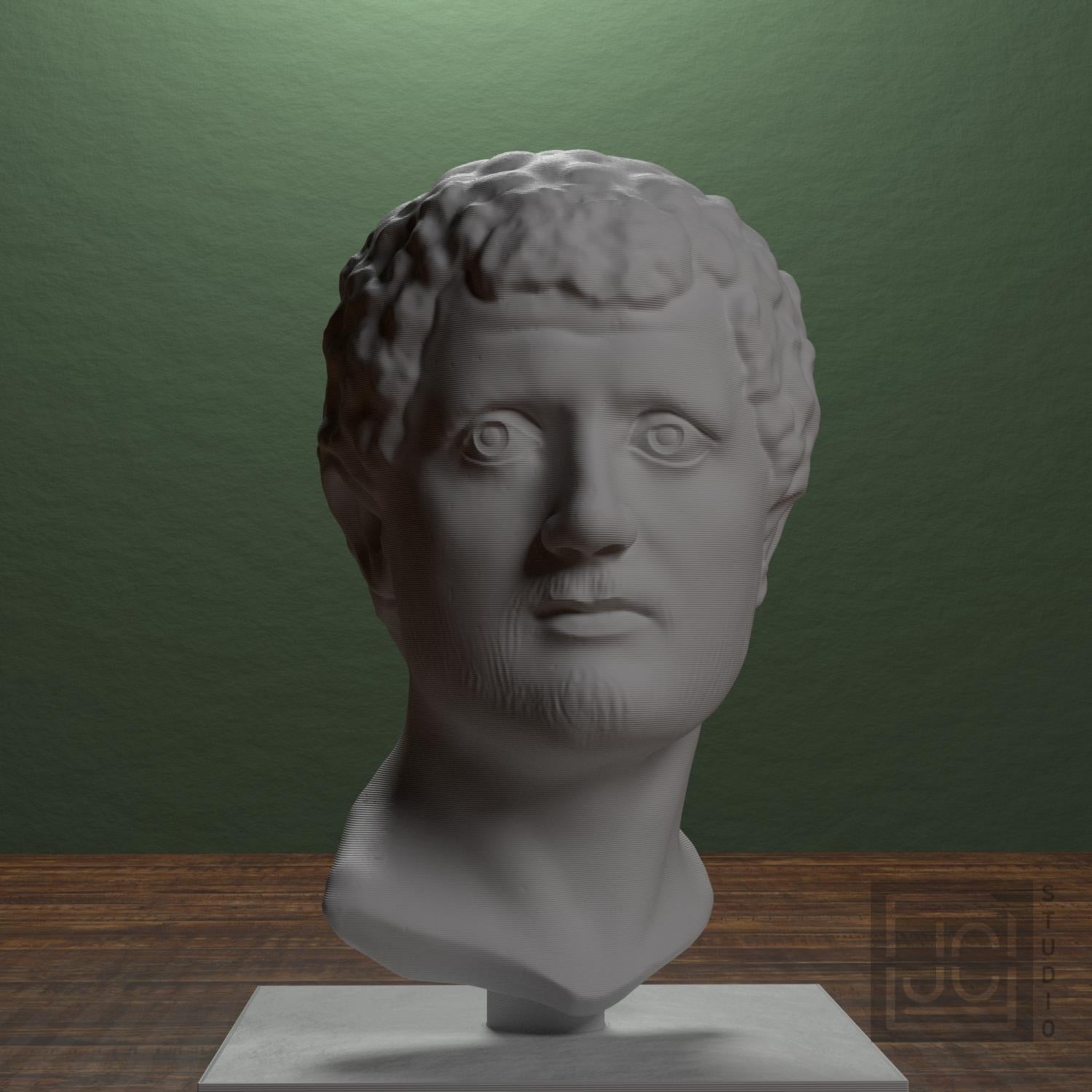 Portrait Head of a Man 3D Printed Museum Replica