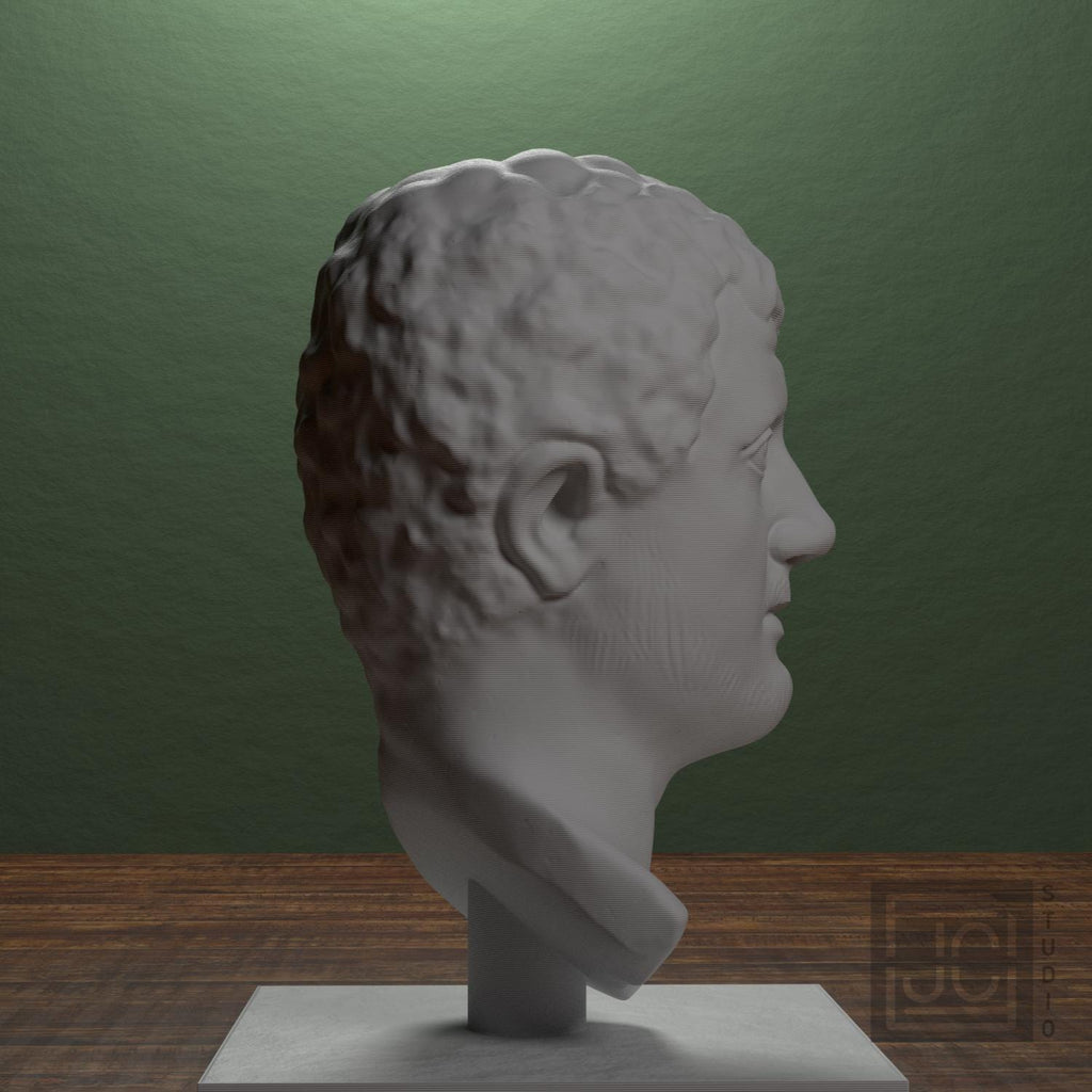 Portrait Head of a Man 3D Printed Museum Replica