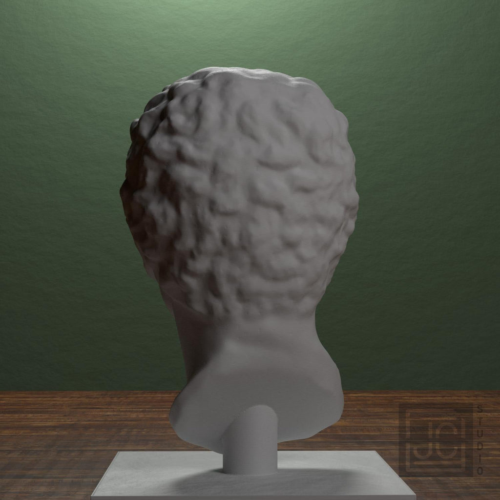 Portrait Head of a Man 3D Printed Museum Replica