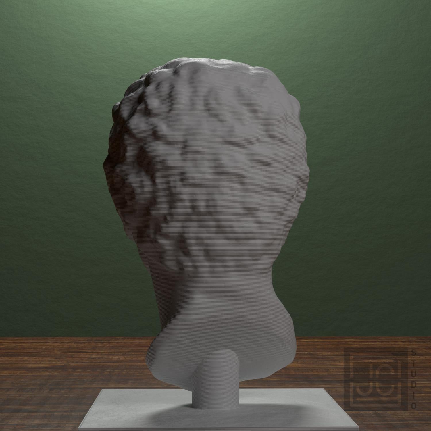 Portrait Head of a Man 3D Printed Museum Replica