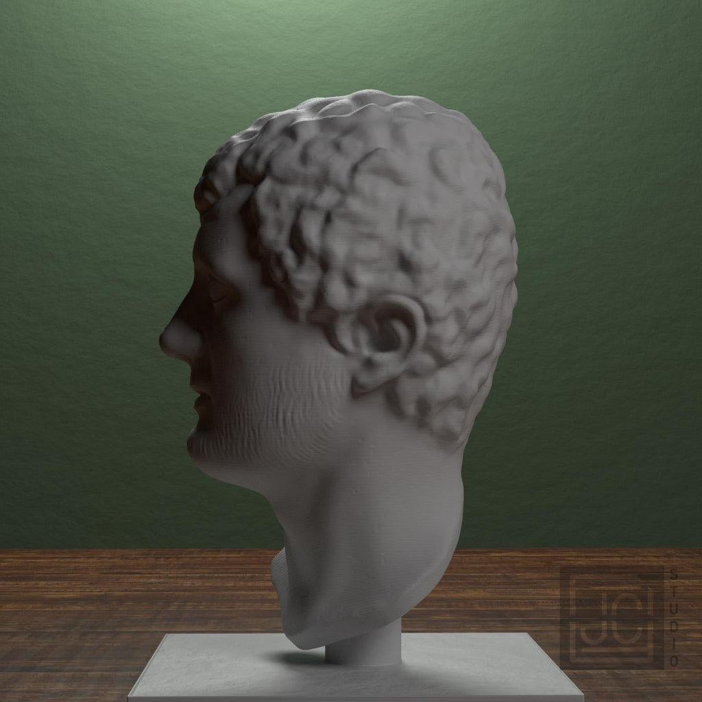 Portrait Head of a Man 3D Printed Museum Replica