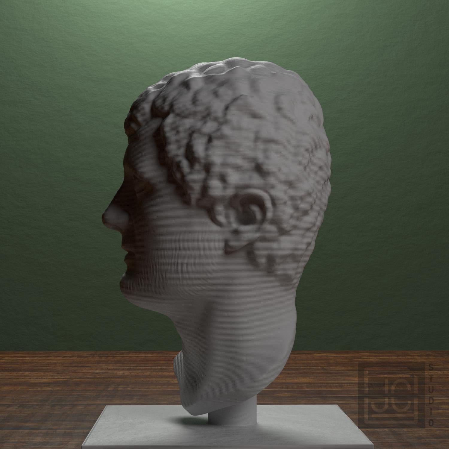 Portrait Head of a Man 3D Printed Museum Replica