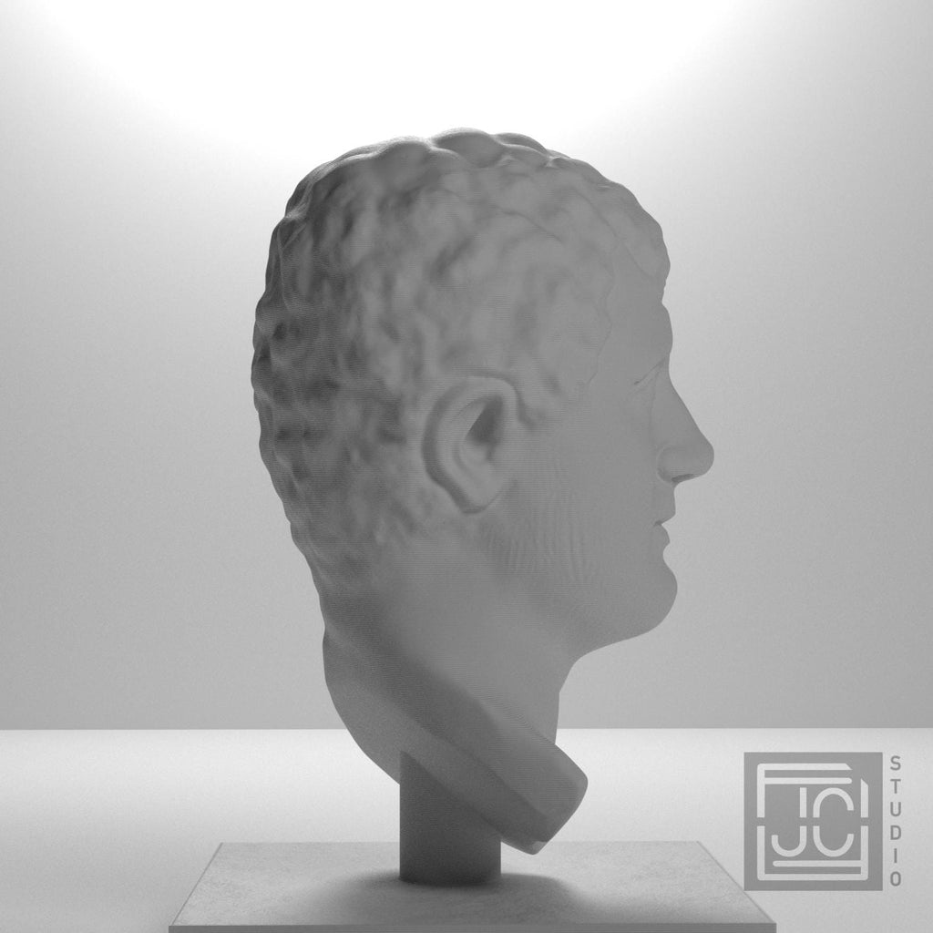 Portrait Head of a Man 3D Printed Museum Replica