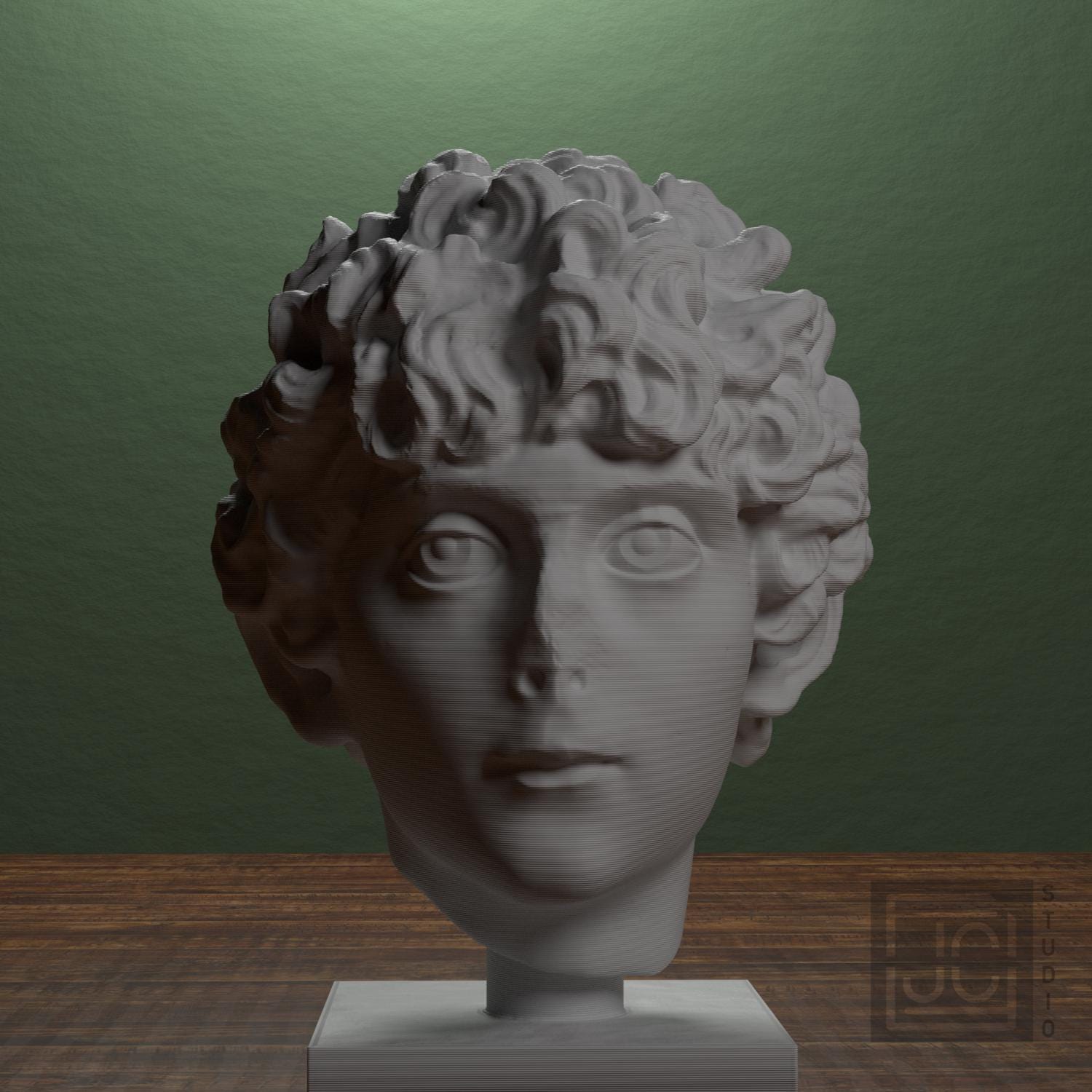 Roman Youth Head 3D Printed Museum Replica