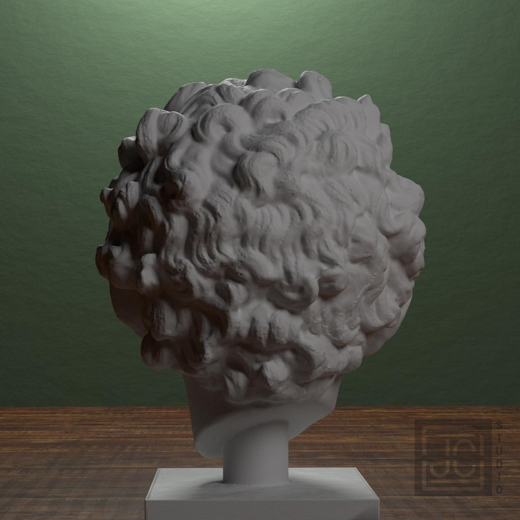 Roman Youth Head 3D Printed Museum Replica