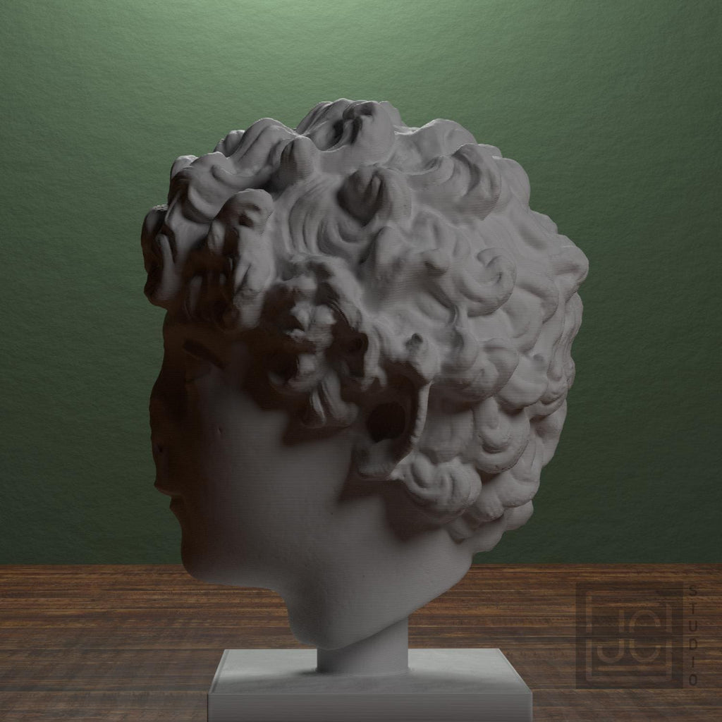 Roman Youth Head 3D Printed Museum Replica