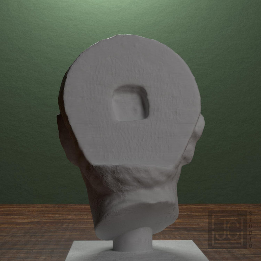Young Man Head 3D Printed Museum Replica