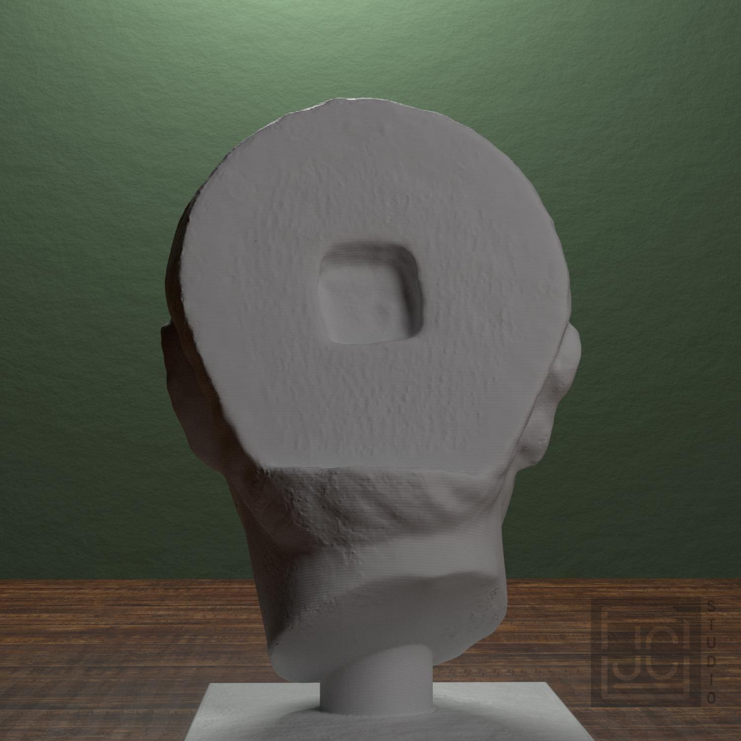 Young Man Head 3D Printed Museum Replica