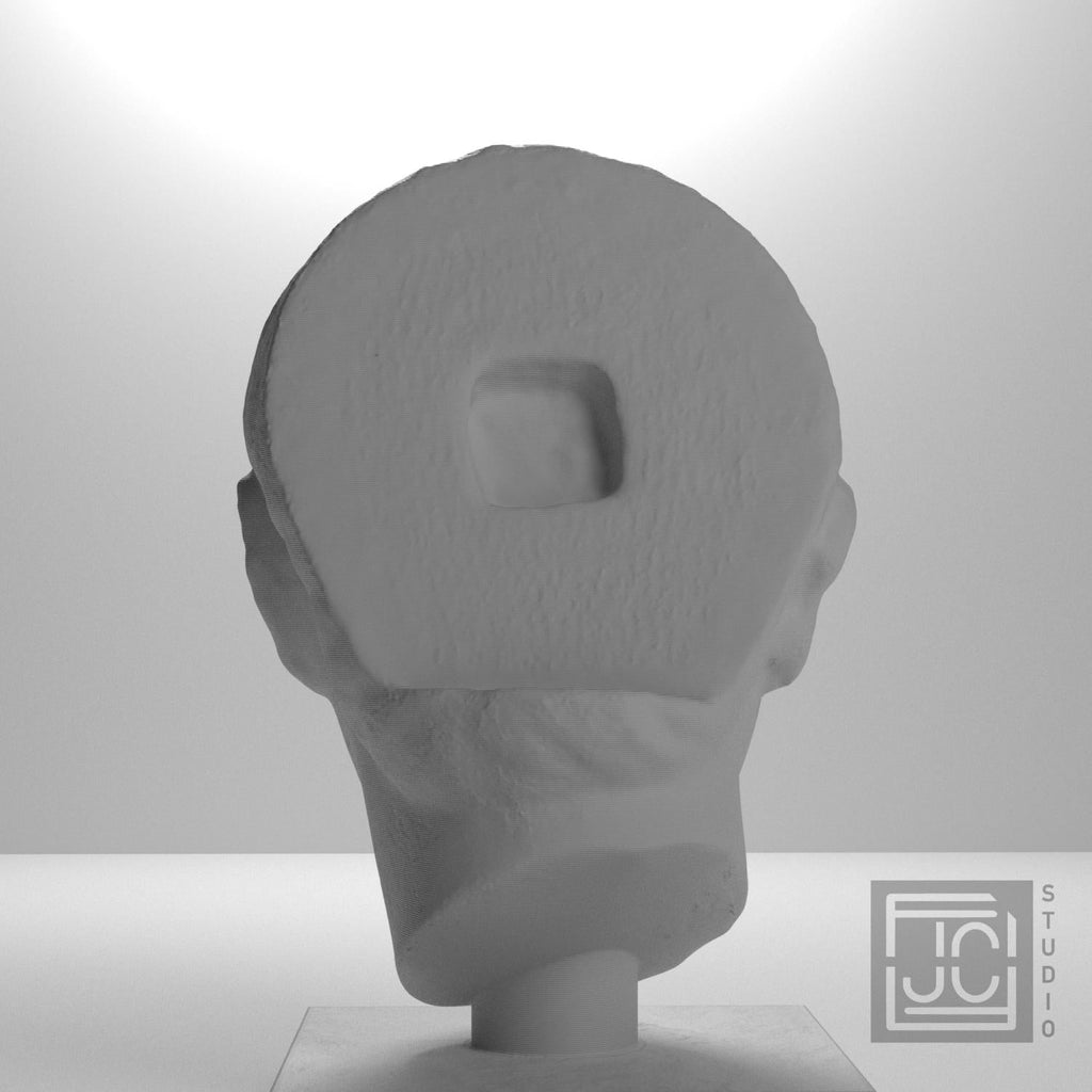 Young Man Head 3D Printed Museum Replica