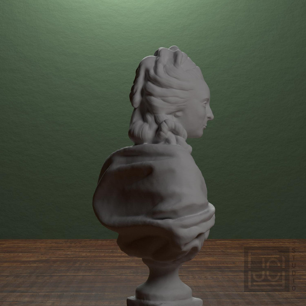 Anne-Marie-Louise Thomas de Domangeville 3D Printed Collectible Bust