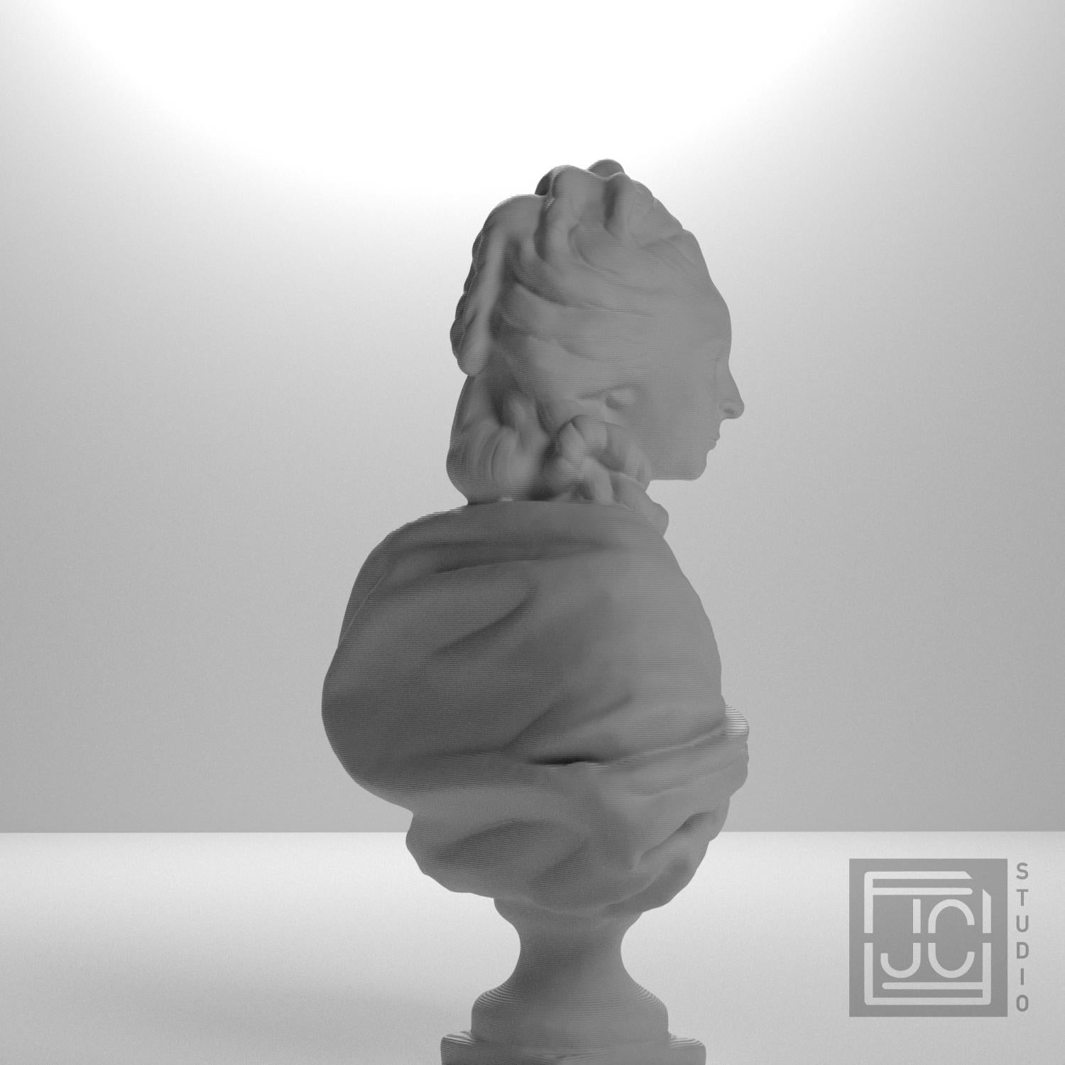Anne-Marie-Louise Thomas de Domangeville 3D Printed Collectible Bust