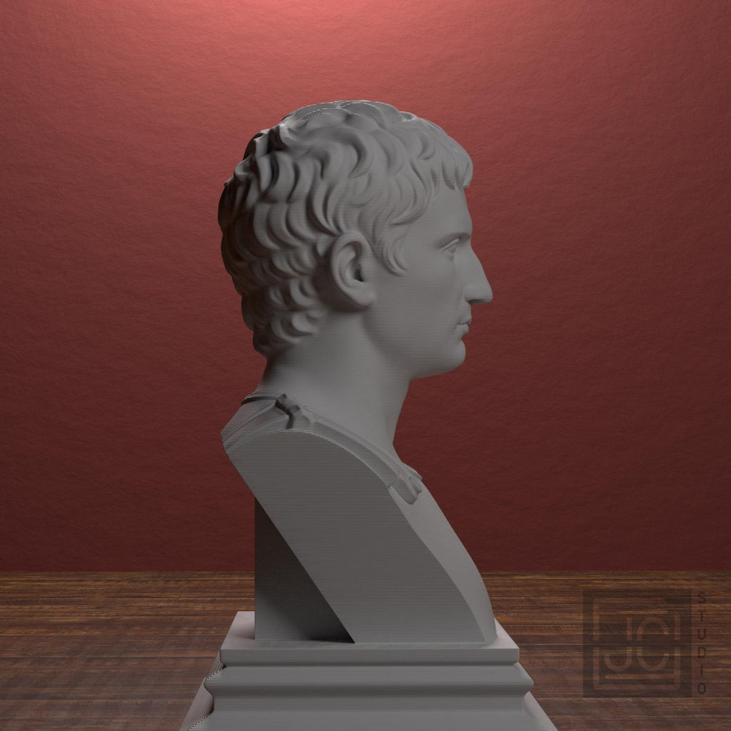 Augustus 3D Printed Collectible Bust