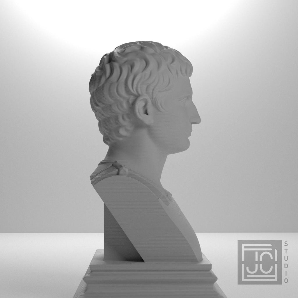Augustus 3D Printed Collectible Bust