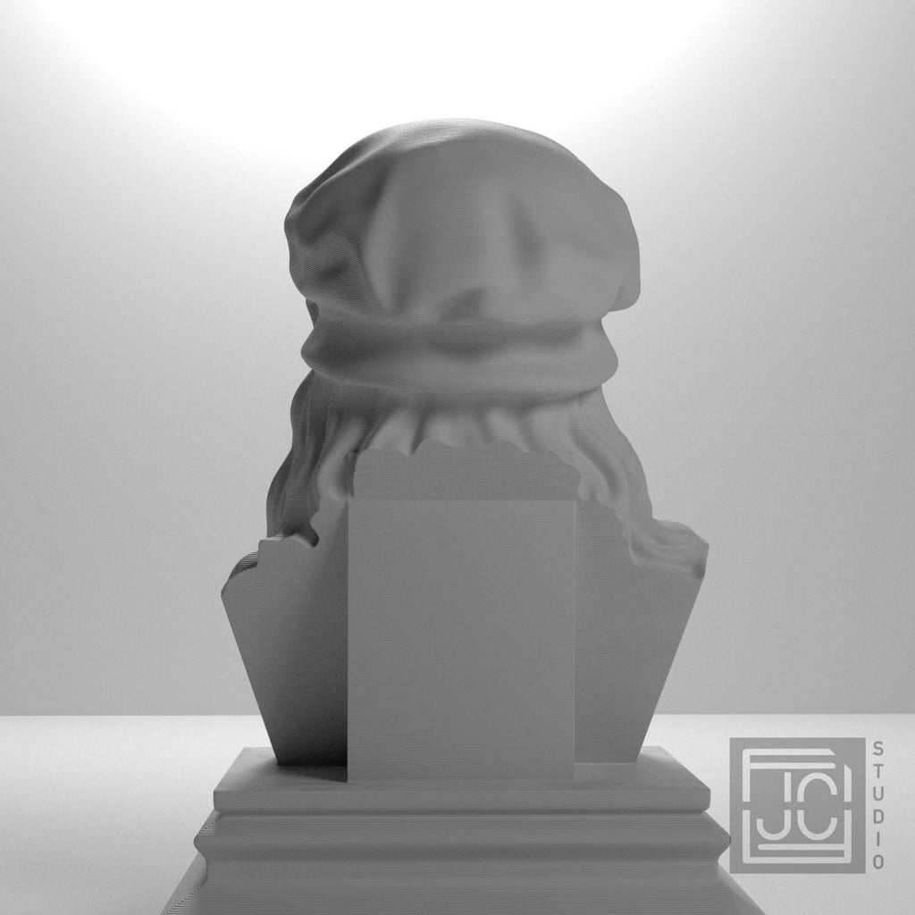 Leonardo da Vinci 3D Printed Collectible Bust