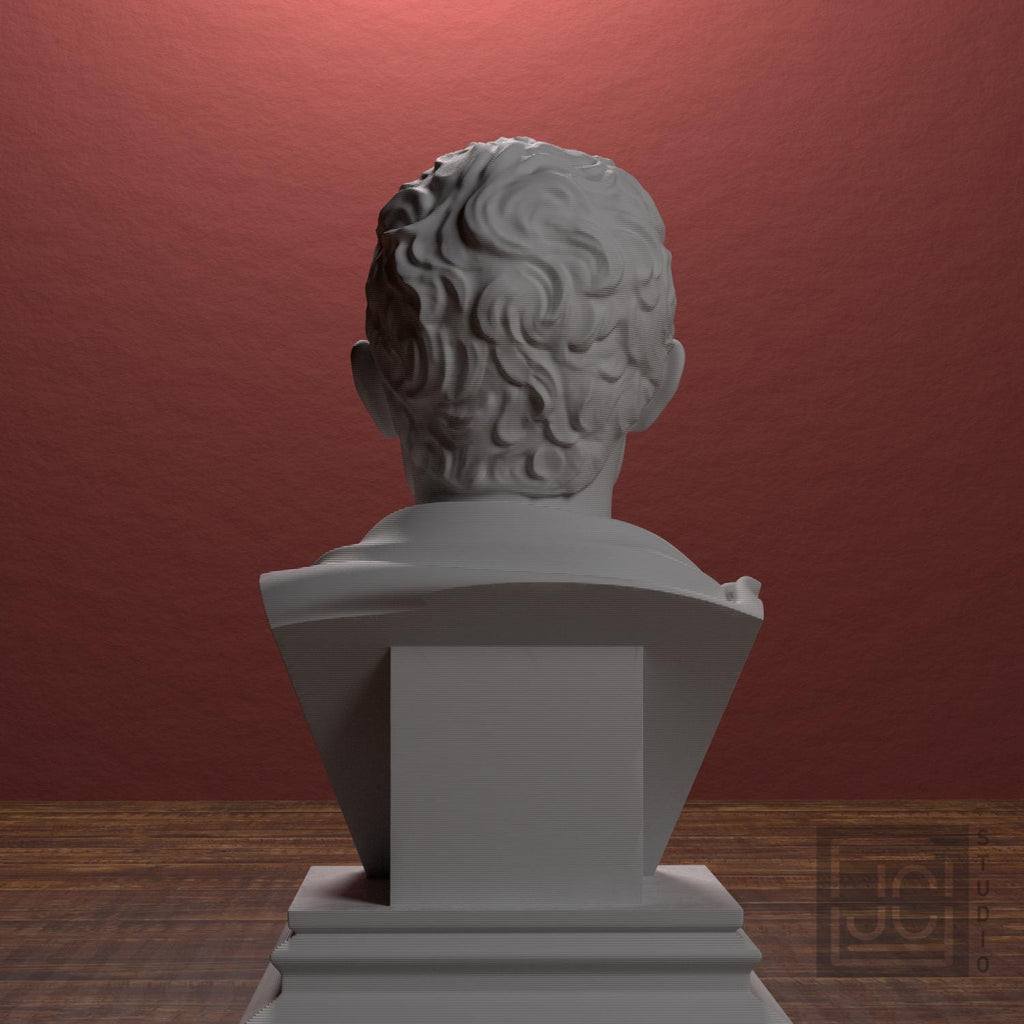 Julius Caesar Portrait No. 0136 3D Printed Collectible Bust