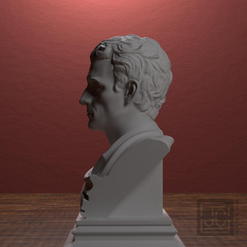 Julius Caesar Portrait No. 0136 3D Printed Collectible Bust