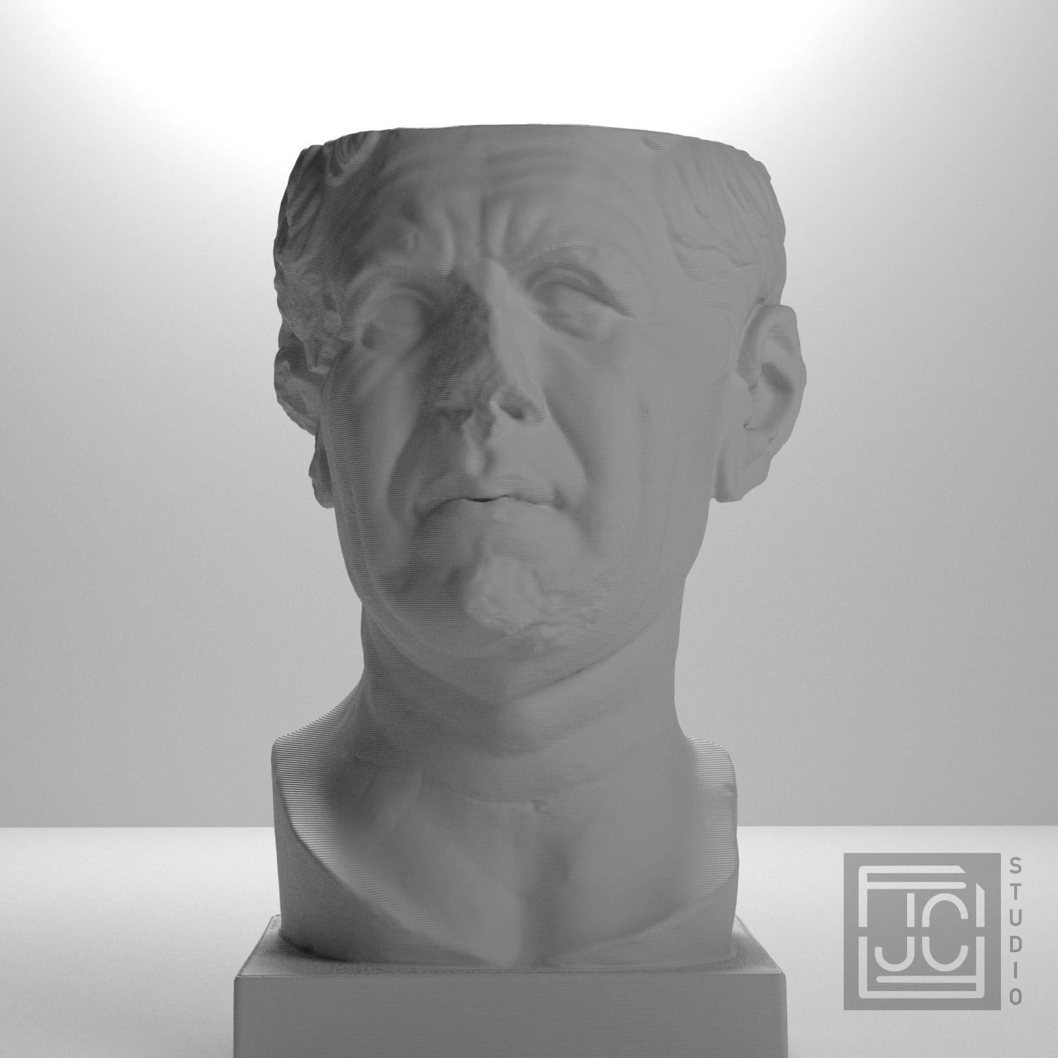 So-Called Tivoli General 3D Printed Museum Portrait Replica