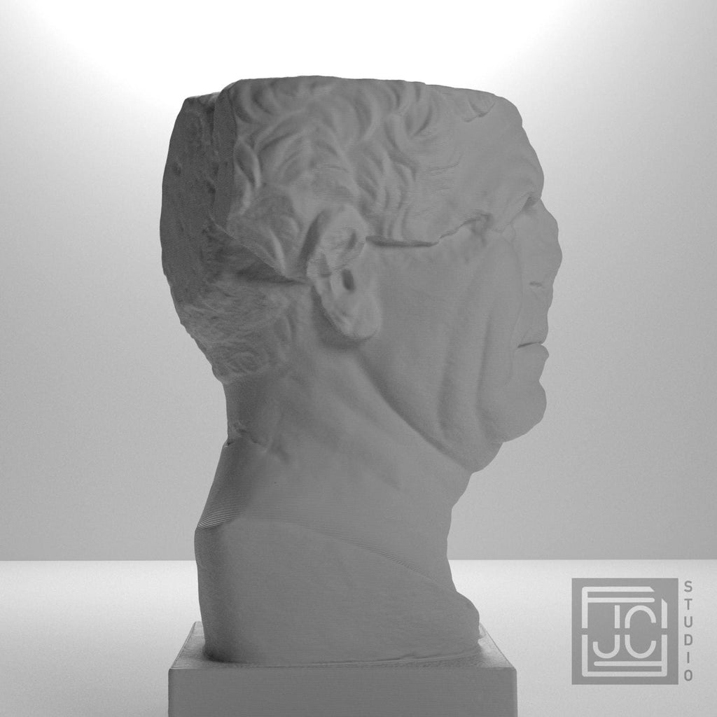 So-Called Tivoli General 3D Printed Museum Portrait Replica