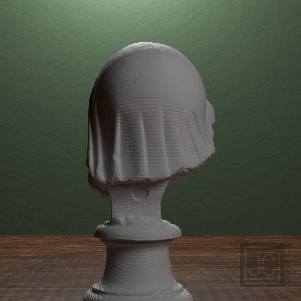 Mourning Penelope Head 3D Printed Museum Replica