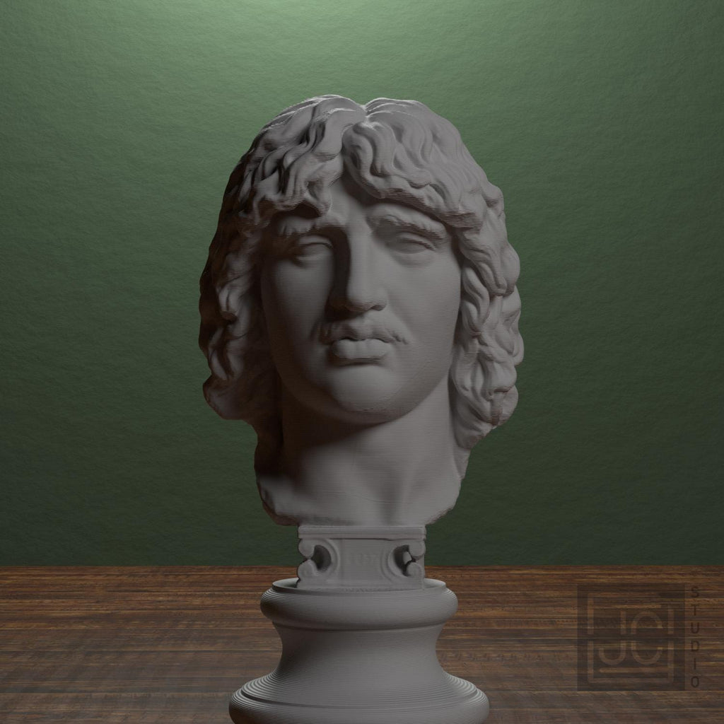 Head of a Barbarian Chief 3D Printed Museum Replica
