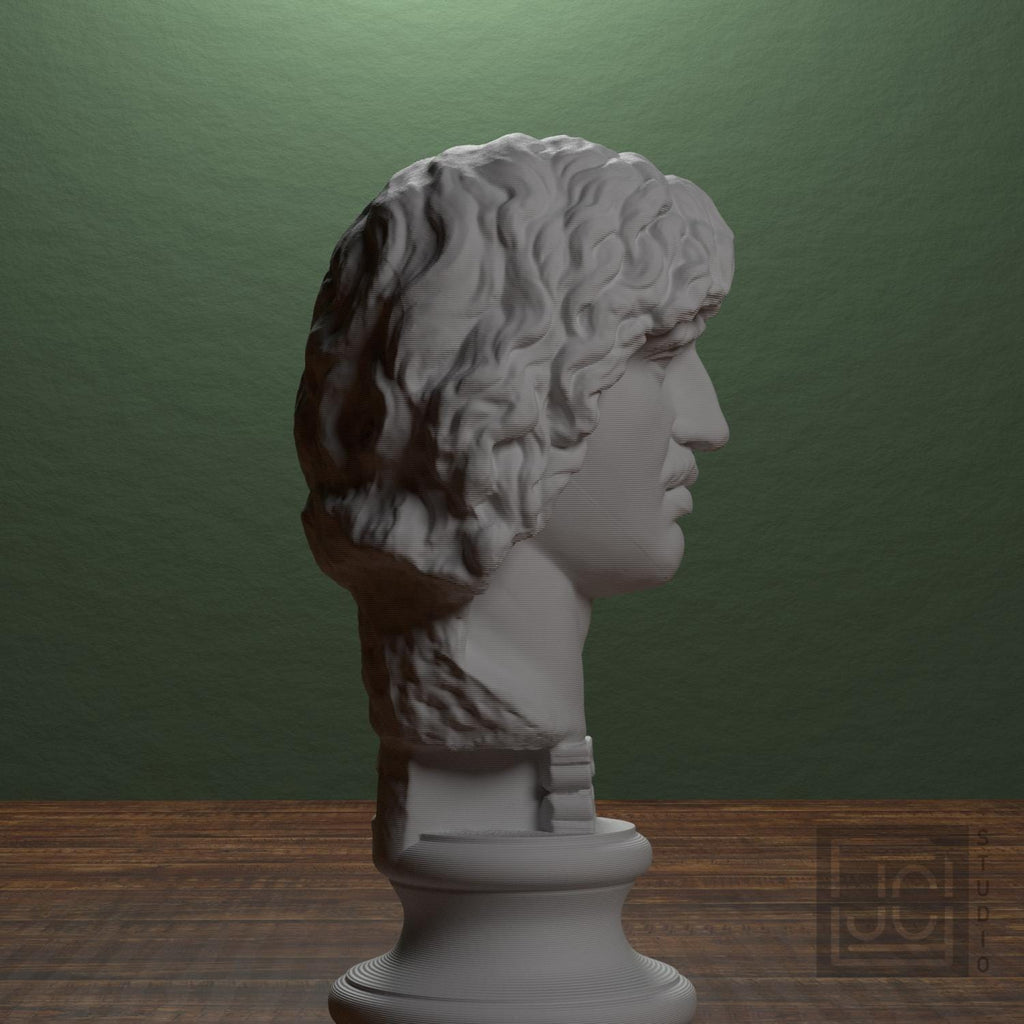 Head of a Barbarian Chief 3D Printed Museum Replica