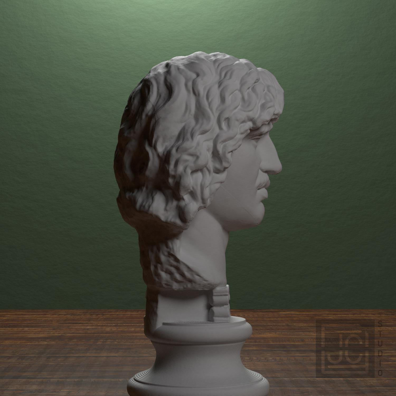 Head of a Barbarian Chief 3D Printed Museum Replica