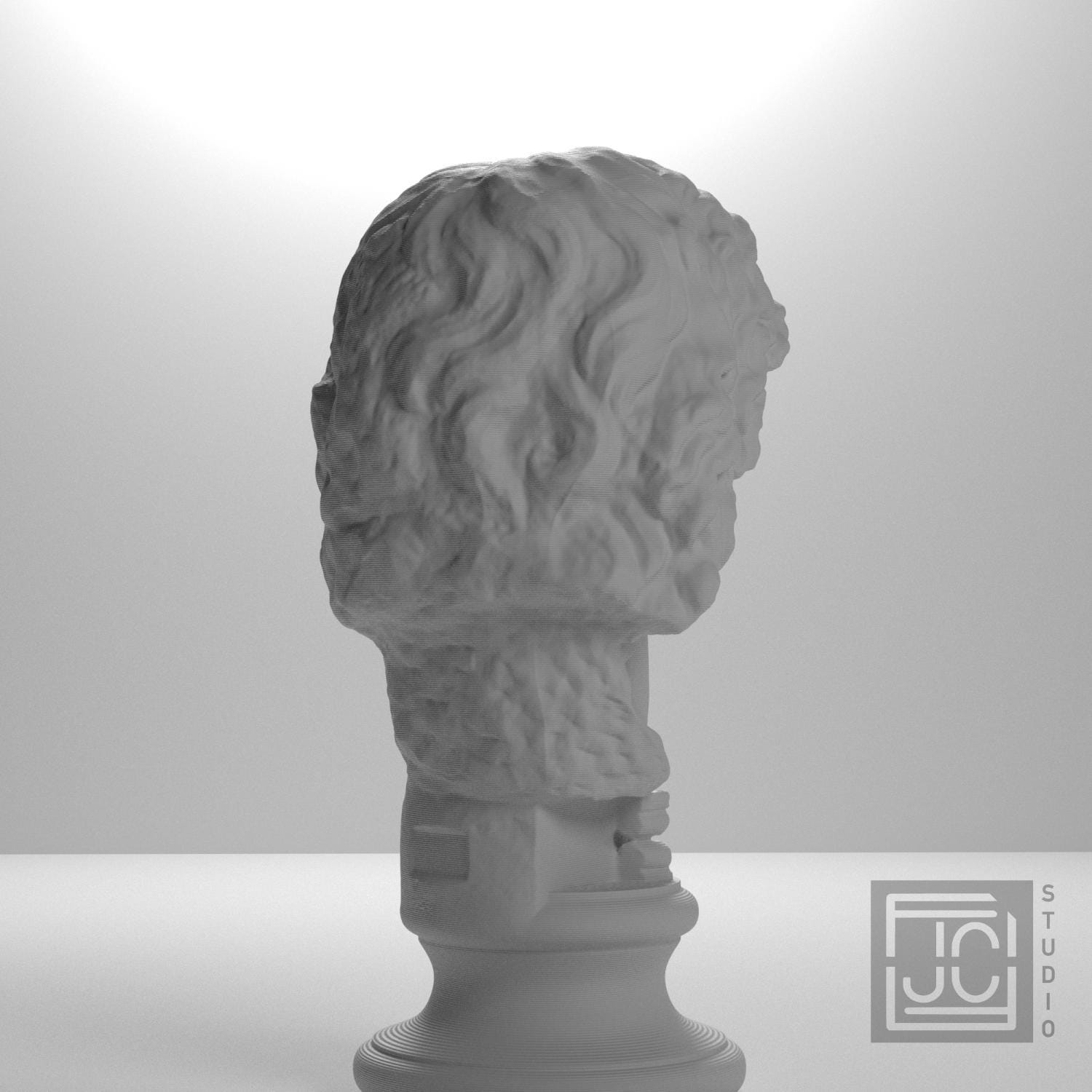 Head of a Barbarian Chief 3D Printed Museum Replica
