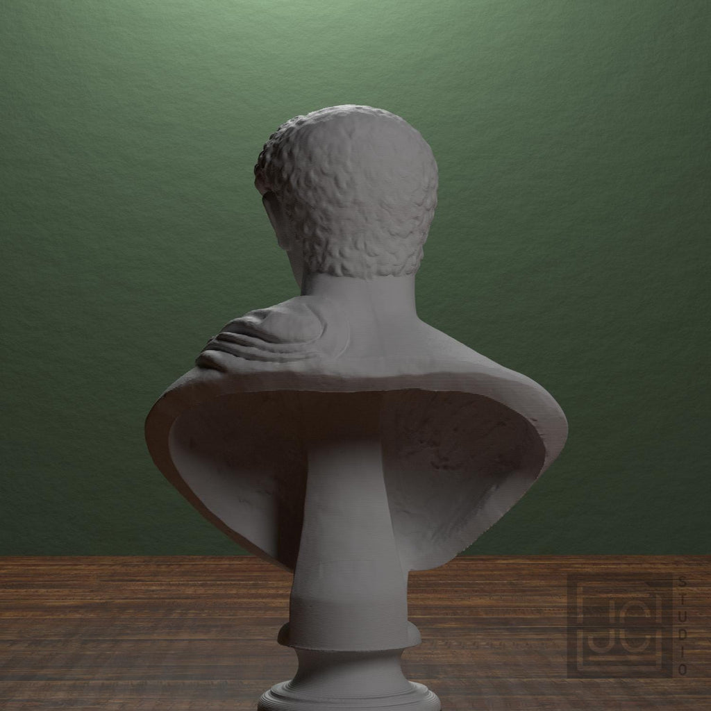 Portrait with Panther Skin 3D Printed Collectible Bust