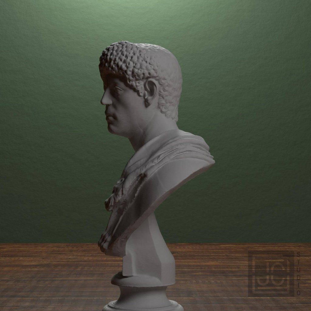 Portrait with Panther Skin 3D Printed Collectible Bust