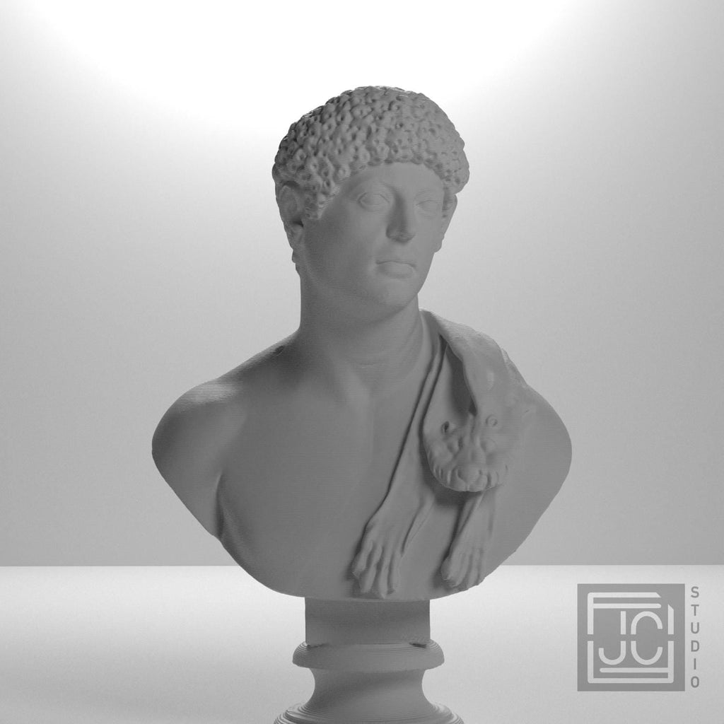 Portrait with Panther Skin 3D Printed Collectible Bust