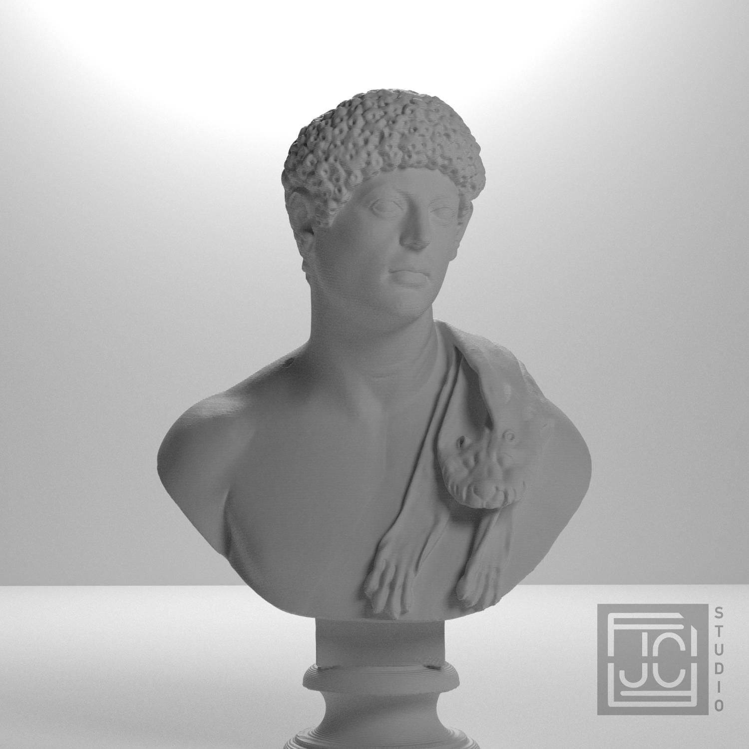Portrait with Panther Skin 3D Printed Collectible Bust